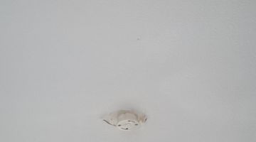 洋間　天・壁　クロスメイク　施工後　平塚市　N邸