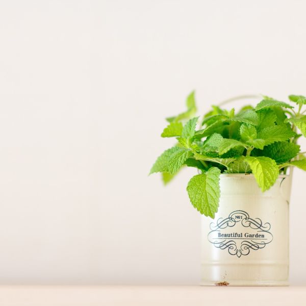 小田原で古くなった壁紙の補修をご検討中の方は村田壁装にご依頼ください