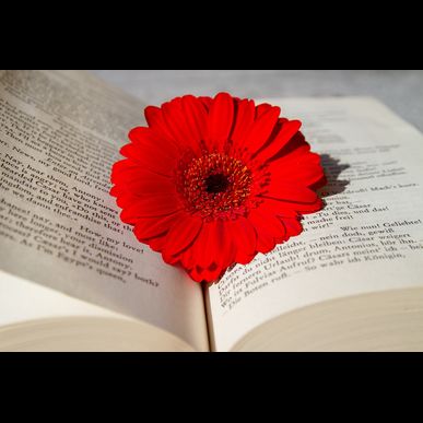 福利厚生倶楽部（リロクラブ）の会員のかたのリフォームなら。